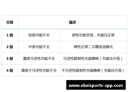 球员：技术与领导力的分级评估